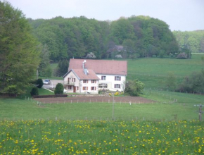 Гостиница Gîte Les Hirondelles  Пломбьер-Ле-Бен